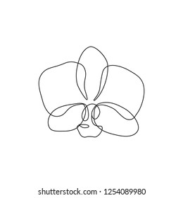 Orchid flower one line drawing. Minimalist art.