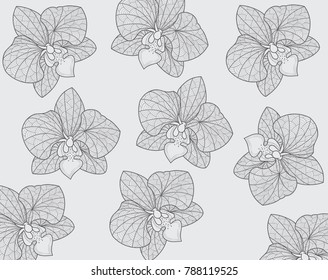 Orchid flower pattern black and white