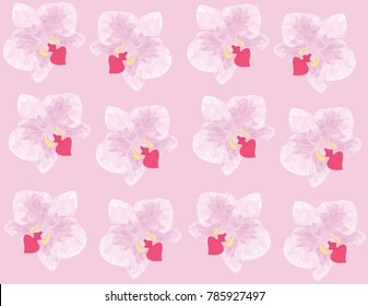 Orchid flower pattern pink and purple color light outline