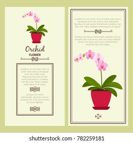 Orchid flower in pot vector advertising banners for shop design