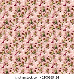 Orchid Flower Seamless Pattern Design with dark red background
