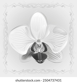 Orchideenblume nahtloses Muster einzeln auf grauem Hintergrund, Vektorgrafik und kann ohne Auflösungsverlust auf jede Größe skaliert werden