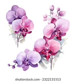 conjunto de flores de orquídeas ilustraciones del vector de acuarela.fondo blanco aislado. invitación a la boda, impresión, sublimación, taza, camiseta, cremallera