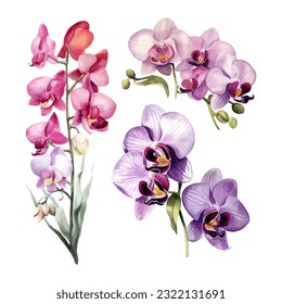 conjunto de flores de orquídeas ilustraciones del vector de acuarela.fondo blanco aislado. invitación a la boda, impresión, sublimación, taza, camiseta, cremallera