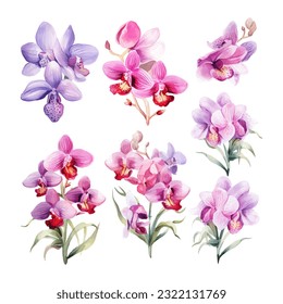 conjunto de flores de orquídeas ilustraciones del vector de acuarela.fondo blanco aislado. invitación a la boda, impresión, sublimación, taza, camiseta, cremallera