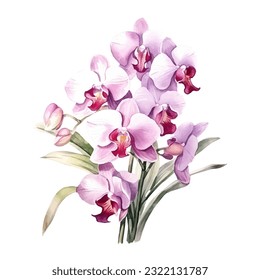 orchid flower set watercolor vector illustration.isolated white background. wedding invitation, print, sublimation, mug, tshirt, tumbler