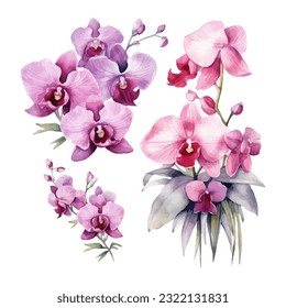 orchid flower set watercolor vector illustration.isolated white background. wedding invitation, print, sublimation, mug, tshirt, tumbler