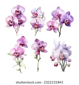 orchid flower set watercolor vector illustration.isolated white background. wedding invitation, print, sublimation, mug, tshirt, tumbler
