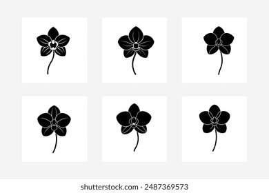 Orchid flower silhouette bundle: elegant, detailed vector designs for various creative projects.