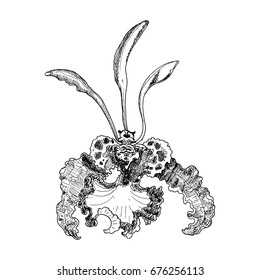 Orchid flower. The sketch marker. Vector