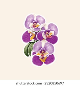 Orchid flower sticker on vector Illustration