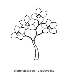 Orchid flower tree vector illustration line art