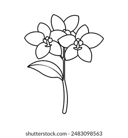 Orchid flower tree vector illustration line art
