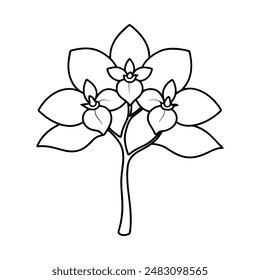 Orchid flower tree vector illustration line art