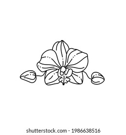 Orchid Flower in a Trendy Minimalist Liner Style. Vector Floral Illustration for printing on T-shirt, Web Design, Tattoo, Posters, creating a Logo and other