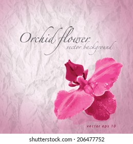 Orchid flower, vector background