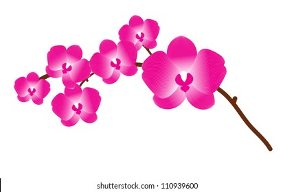 Orchid flower vector background for design