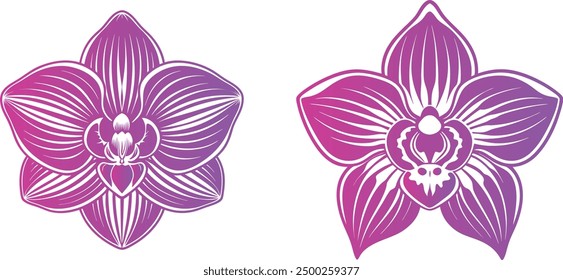 Orchid flower vector illustration design