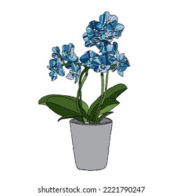 Orchid flower vector illustration with hand drawing style 