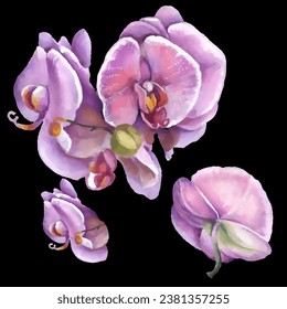 Orchid flower. Vector illustration in watercolor style. Design for textile, wallpapers, Element for design, Greeting card. 
