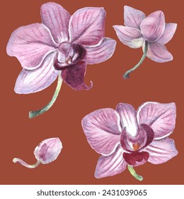 Orchid flower. Vector illustration in watercolor style. Design for textile, wallpapers, Element for design, Greeting card. 
