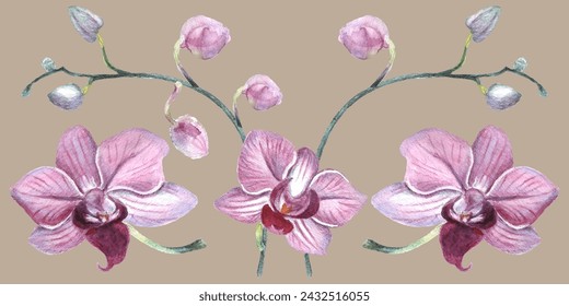 Orchid flower. Vector illustration in watercolor style. Design for textile, wallpapers, Element for design, Greeting card. 