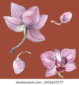 Orchid flower. Vector illustration in watercolor style. Design for textile, wallpapers, Element for design, Greeting card. 
