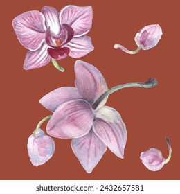 Orchid flower. Vector illustration in watercolor style. Design for textile, wallpapers, Element for design, Greeting card. 
