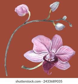 Orchid flower. Vector illustration in watercolor style. Design for textile, wallpapers, Element for design, Greeting card. 