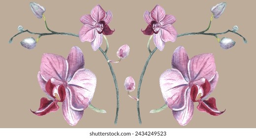 Orchid flower. Vector illustration in watercolor style. Design for textile, wallpapers, Element for design, Greeting card.