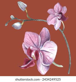 Orchid flower. Vector illustration in watercolor style. Design for textile, wallpapers, Element for design, Greeting card.