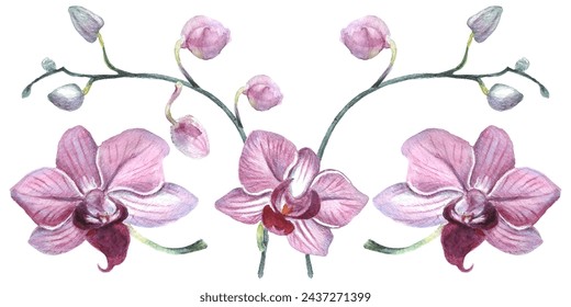 Orchid flower. Vector illustration in watercolor style. Design for textile, wallpapers, Element for design, Greeting card. 