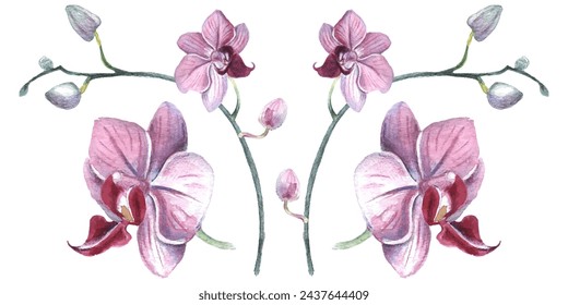 Orchid flower. Vector illustration in watercolor style. Design for textile, wallpapers, Element for design, Greeting card. 