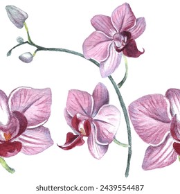 Orchid flower. Vector illustration in watercolor style. Design for textile, wallpapers, Element for design, Greeting card. 