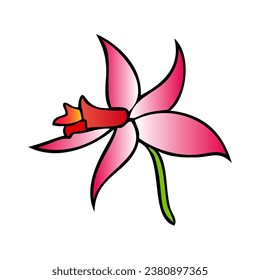 orchid flower vector illustration,isolated on white background,top view