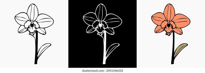 Orchideenblume Vektorgrafik auf weißem, isoliertem Hintergrund. wunderschöne botanische Illustration. Dekorative florale Silhouette.