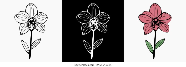 Orchid Flower vector on white isolated background. beautiful botanical illustration. Decorative floral silhouette.