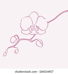 Orchid flower vector silhouette