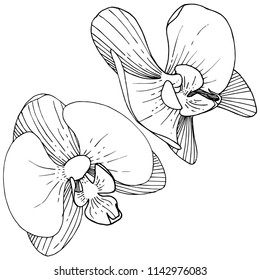 Orchid flower in a vector style isolated. Full name of the plant: orchid. Vector flower for background, texture, wrapper pattern, frame or border.