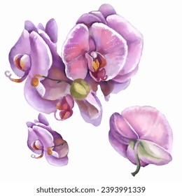 Orchid flower watercolor illustration. Print for greeting card, wallpaper, fabric, wrapping paper, banner. Vector illustration in a watercolor style.
