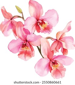 Orchideenblume Aquarell, Vektorgrafik, einzeln auf weißem Hintergrund. perfekt für Hochzeitseinladungskarte