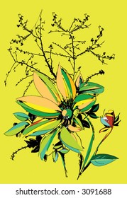 orchid flower with yellow background