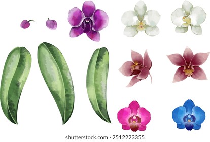 orchid flowers arrangement collection set