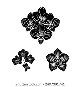 orchid flowers black colour silhouette vector design