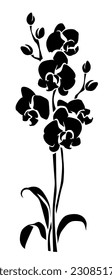 Orchid flowers. Black silhouette of orchid branch isolated on a white background. Vector illustration