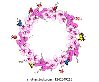 Orchid flowers frame