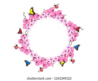 Orchid flowers frame