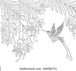 Adult Coloring Birds Flowers Images Stock Photos Vectors Shutterstock