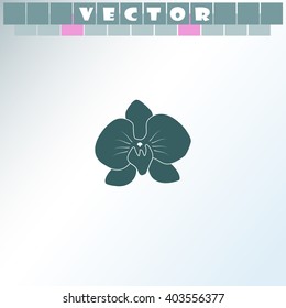 Orchid flowers icon.