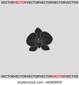 Orchid flowers icon.